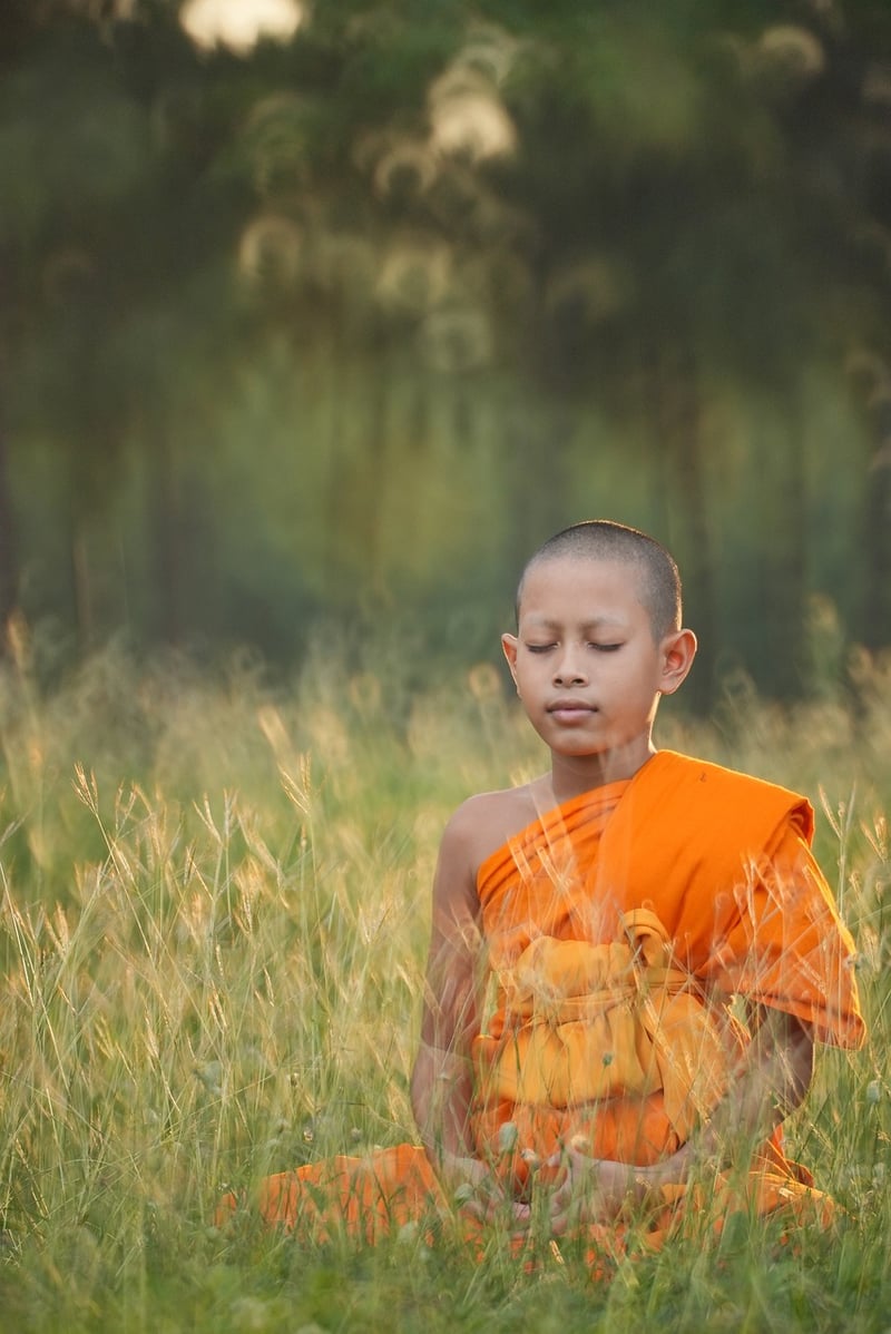 Kinetic Mindfulness Yoga